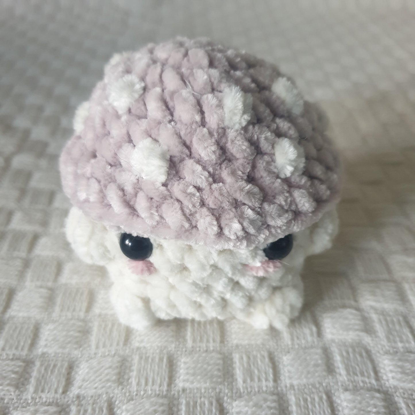 Crochet Chonky Mushi Boi Boi *Handmade & Ready to ship*